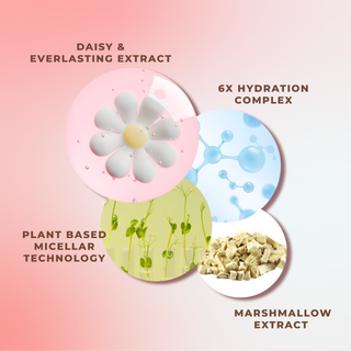 4-in-1 Moisture Lock Micellar Water 500 ml