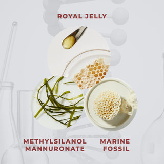 Royal Lift White Concentrate Night Spa 30 ml